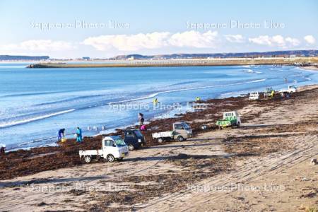 拾い昆布と軽トラック