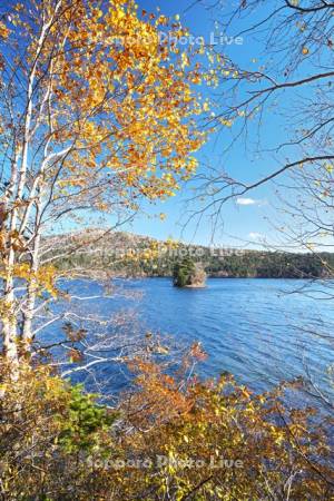 然別湖と弁天島の紅葉
