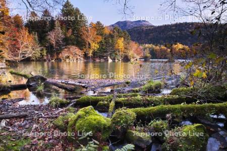 阿寒湖滝口の紅葉と雄阿寒岳