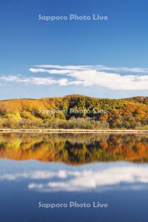 達古武湖の紅葉