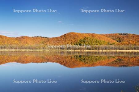 達古武湖の紅葉