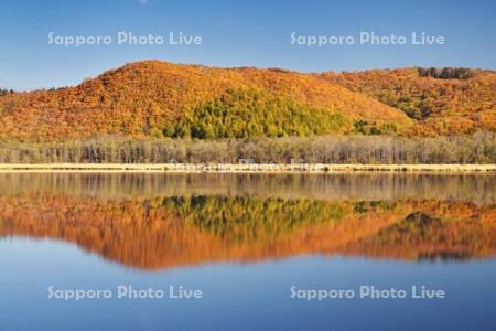 達古武湖の紅葉