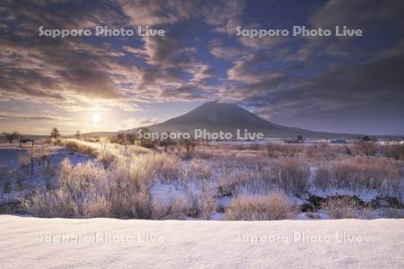 尻別川の樹氷と羊蹄山の日の出