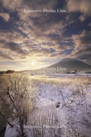尻別川の樹氷と羊蹄山の日の出