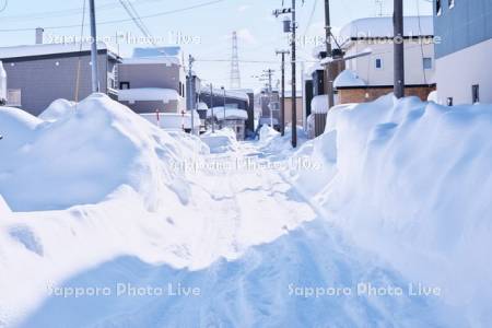 雪の住宅街と道