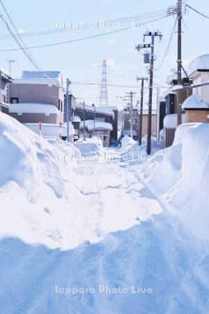 雪の住宅街と道