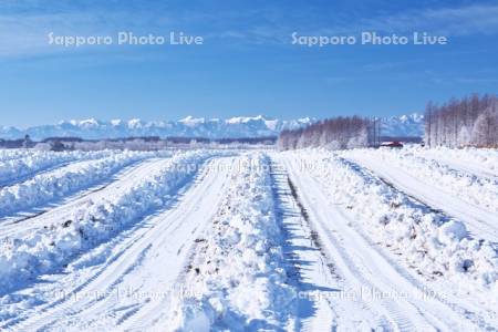 畑の雪割りと日高山脈