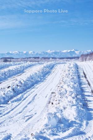 畑の雪割りと日高山脈