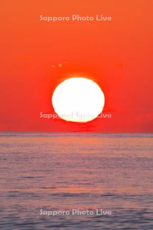 日の出と太平洋