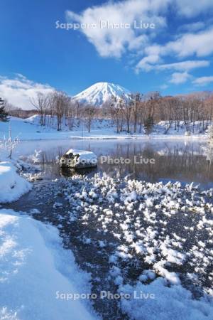 ふきだし公園と羊蹄山とフロストフラワー(霜の花)