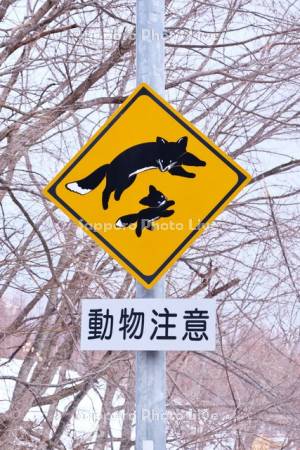 動物注意の道路標識