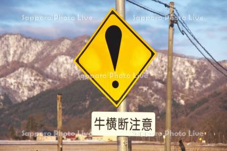 牛横断注意の道路標識