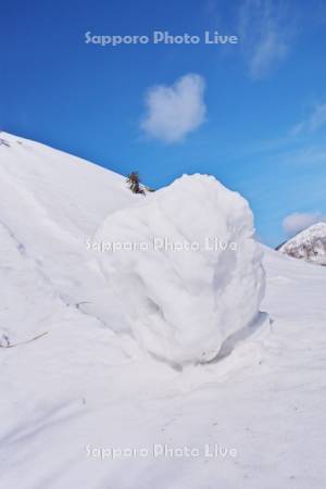 ホロホロ峠の雪まくり（70㎝）