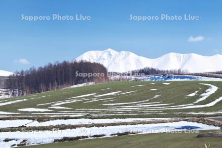 十勝岳連峰と残雪の農地