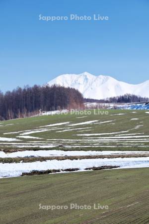 十勝岳連峰と残雪の農地