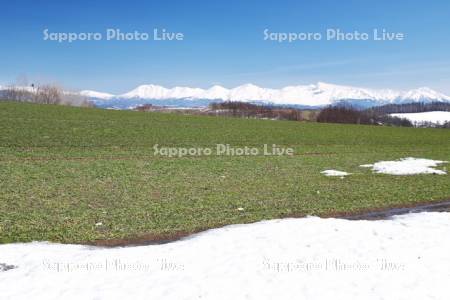 十勝岳連峰と残雪の農地