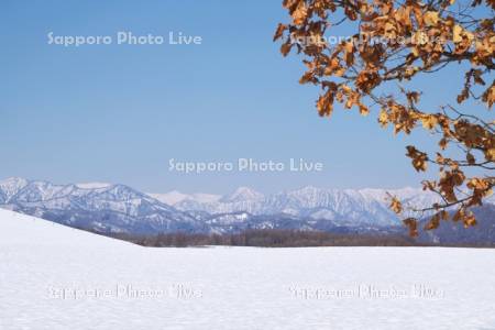 日高山脈と残雪（農地）