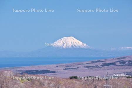 きじひき高原より望む羊蹄山