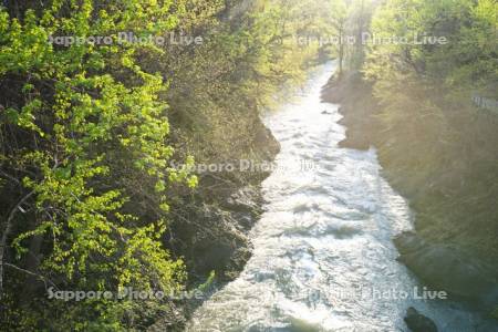 滝上渓谷（渚滑川）の新緑　錦仙峡