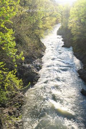 滝上渓谷（渚滑川）の新緑　錦仙峡