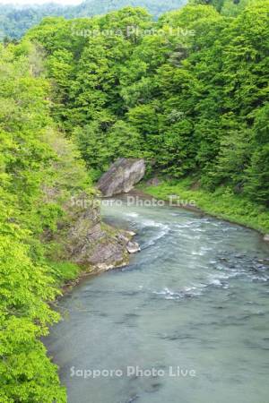 竜仙峡　滝の上自然公園