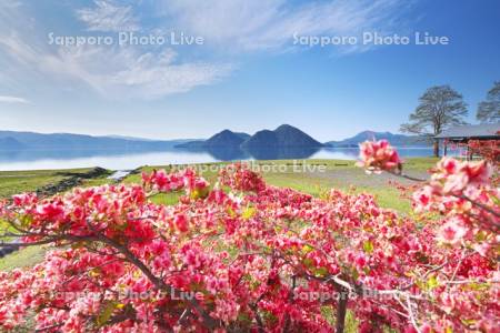 洞爺湖とツツジと中島