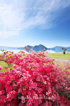 洞爺湖とツツジと中島