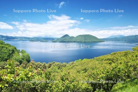 壮瞥公園の梅林と洞爺湖と中島