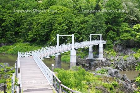 神居大橋と石狩川