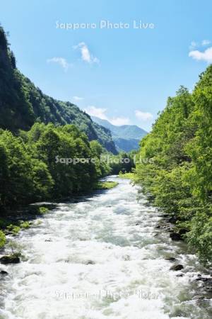 層雲峡の新緑と石狩川