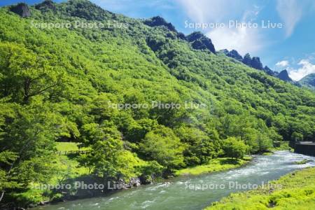 層雲峡の新緑と石狩川