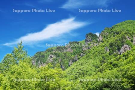 層雲峡の新緑