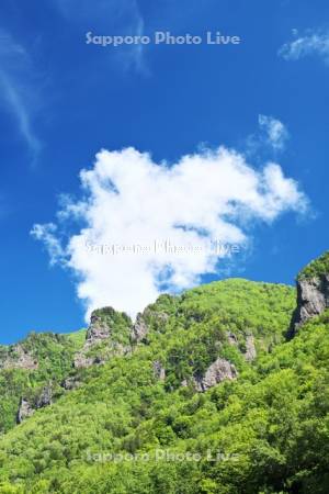 層雲峡の新緑