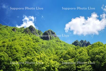 層雲峡の新緑