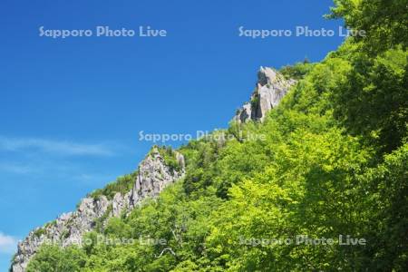 層雲峡の新緑