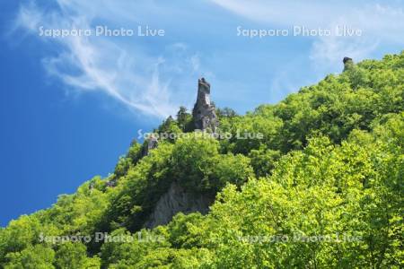 層雲峡の新緑