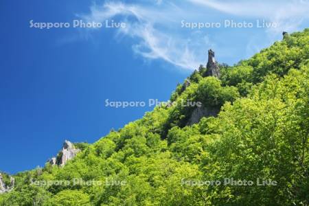 層雲峡の新緑
