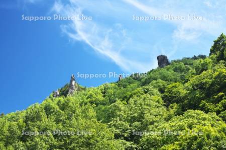層雲峡の新緑