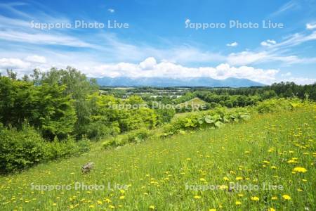 千代田の丘と十勝岳連峰