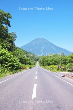 国道276号と羊蹄山