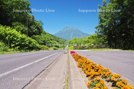 国道276号と羊蹄山