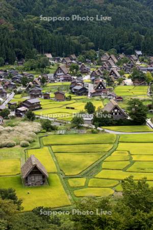 白川郷