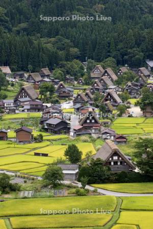 白川郷