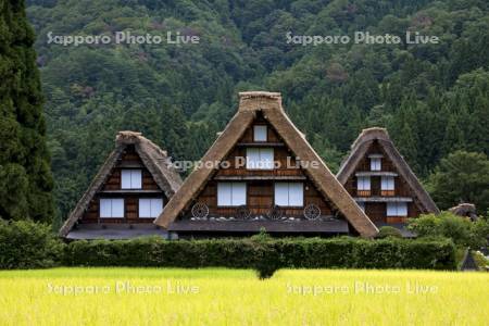 白川郷