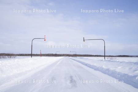 雪道と固定式視線誘導柱