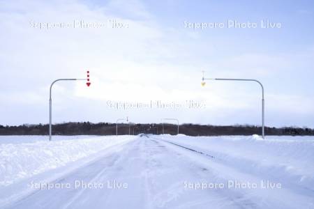 雪道と固定式視線誘導柱