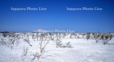 冬のサロベツ原野