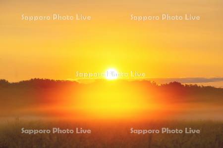 サロベツ原野と朝陽