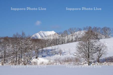 ピンネシリ岳と雪景色