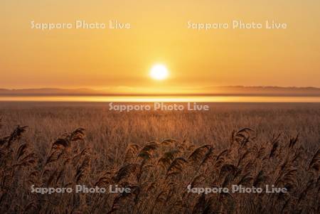 朝陽とサロベツ原野
